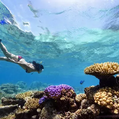 Mantaray Island Resort